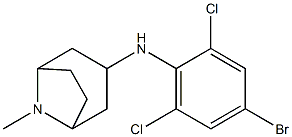 N-(4-bromo-2,6-dichlorophenyl)-8-methyl-8-azabicyclo[3.2.1]octan-3-amine 구조식 이미지