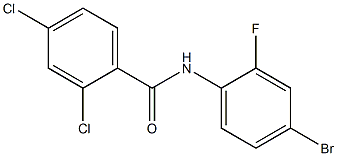 N-(4-bromo-2-fluorophenyl)-2,4-dichlorobenzamide 구조식 이미지