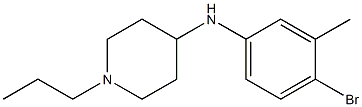 N-(4-bromo-3-methylphenyl)-1-propylpiperidin-4-amine 구조식 이미지