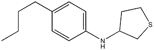 N-(4-butylphenyl)thiolan-3-amine 구조식 이미지