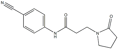 N-(4-cyanophenyl)-3-(2-oxopyrrolidin-1-yl)propanamide 구조식 이미지