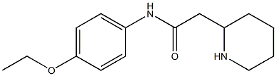 N-(4-ethoxyphenyl)-2-(piperidin-2-yl)acetamide 구조식 이미지