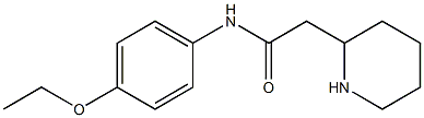 N-(4-ethoxyphenyl)-2-(piperidin-2-yl)acetamide Structure