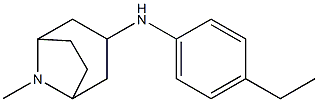 N-(4-ethylphenyl)-8-methyl-8-azabicyclo[3.2.1]octan-3-amine 구조식 이미지