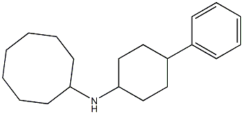 N-(4-phenylcyclohexyl)cyclooctanamine Structure