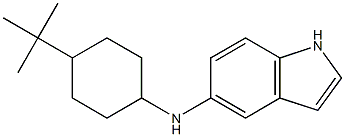 N-(4-tert-butylcyclohexyl)-1H-indol-5-amine Structure