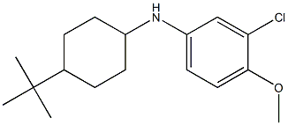 N-(4-tert-butylcyclohexyl)-3-chloro-4-methoxyaniline 구조식 이미지