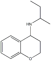 N-(butan-2-yl)-3,4-dihydro-2H-1-benzopyran-4-amine 구조식 이미지