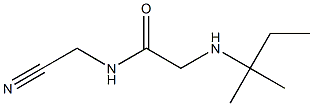 N-(cyanomethyl)-2-[(2-methylbutan-2-yl)amino]acetamide Structure