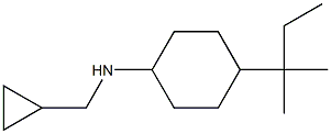 N-(cyclopropylmethyl)-4-(2-methylbutan-2-yl)cyclohexan-1-amine Structure
