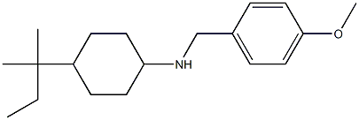 N-[(4-methoxyphenyl)methyl]-4-(2-methylbutan-2-yl)cyclohexan-1-amine 구조식 이미지