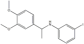 N-[1-(3,4-dimethoxyphenyl)ethyl]-3-iodoaniline 구조식 이미지