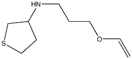 N-[3-(ethenyloxy)propyl]thiolan-3-amine Structure