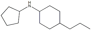 N-cyclopentyl-4-propylcyclohexan-1-amine 구조식 이미지