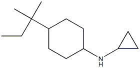 N-cyclopropyl-N-[4-(1,1-dimethylpropyl)cyclohexyl]amine Structure