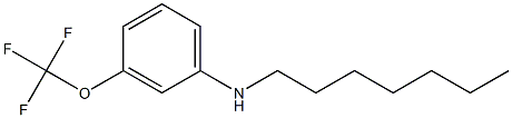 N-heptyl-3-(trifluoromethoxy)aniline 구조식 이미지