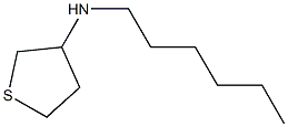 N-hexylthiolan-3-amine 구조식 이미지