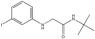 N-tert-butyl-2-[(3-iodophenyl)amino]acetamide 구조식 이미지