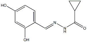 N'-(2,4-dihydroxybenzylidene)cyclopropanecarbohydrazide 구조식 이미지