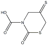 2-oxo-5-thioxo-1,3-thiazinane-3-carboxylic acid 구조식 이미지