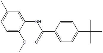 4-(1,1-dimethylethyl)-N-[5-methyl-2-(methyloxy)phenyl]benzamide 구조식 이미지