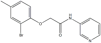 2-(2-bromo-4-methylphenoxy)-N-(3-pyridinyl)acetamide 구조식 이미지