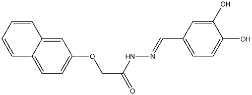 N'-(3,4-dihydroxybenzylidene)-2-(2-naphthyloxy)acetohydrazide Structure