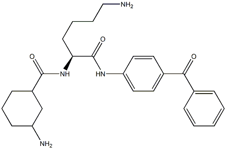 4-(N2-[(3-Aminocyclohexyl)carbonyl]-L-lysylamino)benzophenone Structure