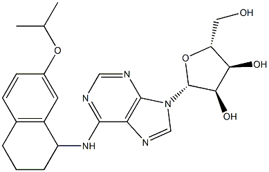 N-[[1,2,3,4-Tetrahydro-7-isopropyloxynaphthalen]-1-yl]adenosine 구조식 이미지