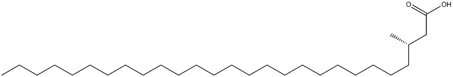 [S,(-)]-3-Methylheptacosanoic acid 구조식 이미지