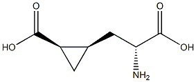 (1R,2R)-2-[(R)-2-Amino-2-carboxyethyl]cyclopropane-1-carboxylic acid 구조식 이미지