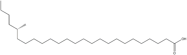 [S,(+)]-21-Methylpentacosanoic acid 구조식 이미지
