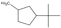 (3-tert-Butylcyclopentyl)methyl radical 구조식 이미지