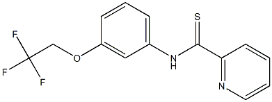 N-[3-(2,2,2-Trifluoroethoxy)phenyl]pyridine-2-carbothioamide 구조식 이미지