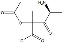 acetyl-alanyl-lactate Structure