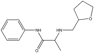 2-[(oxolan-2-ylmethyl)amino]-N-phenylpropanamide 구조식 이미지