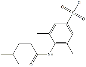 3,5-dimethyl-4-(4-methylpentanamido)benzene-1-sulfonyl chloride Structure