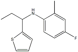 4-fluoro-2-methyl-N-[1-(thiophen-2-yl)propyl]aniline 구조식 이미지