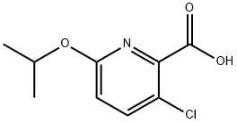 3-chloro-6-(propan-2-yloxy)pyridine-2-carboxylic acid Structure