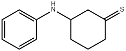 N-phenylthiolan-3-amine 구조식 이미지