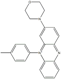 10-(4-methylphenyl)-2-(4-morpholinyl)phenazin-10-ium Structure