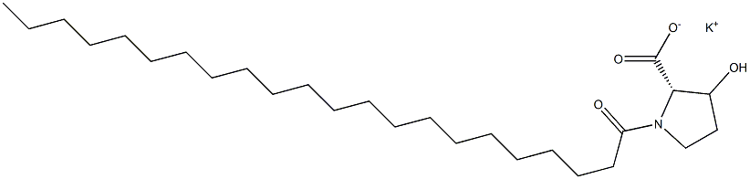 Potassium Behenoyl Hydroxyproline Structure