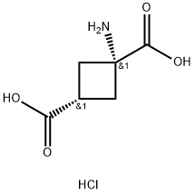 cis(1-aminocyclobutane-1,3-dicarboxylic acid) hydrochloride 구조식 이미지