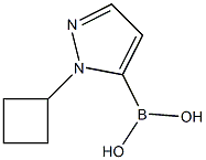 (1-Cyclobutyl-1H-pyrazol-5-yl)boronic acid Structure