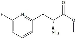 METHYL(2R)-2-AMINO-3-(6-FLUOROPYRIDIN-2-YL)PROPANOATE 구조식 이미지