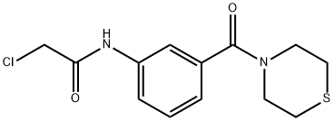 2-chloro-N-[3-(thiomorpholine-4-carbonyl)phenyl]acetamide Structure