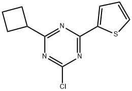 2-Chloro-4-(cyclobutyl)-6-(2-thienyl)-1,3,5-triazine 구조식 이미지