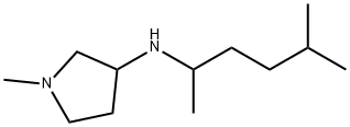 1-methyl-N-(5-methylhexan-2-yl)pyrrolidin-3-amine 구조식 이미지