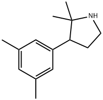 3-(3,5-dimethylphenyl)-2,2-dimethylpyrrolidine Structure