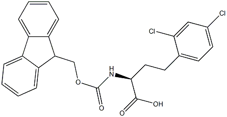 Fmoc-2,4-dichloro-L-homophenylalanine Structure